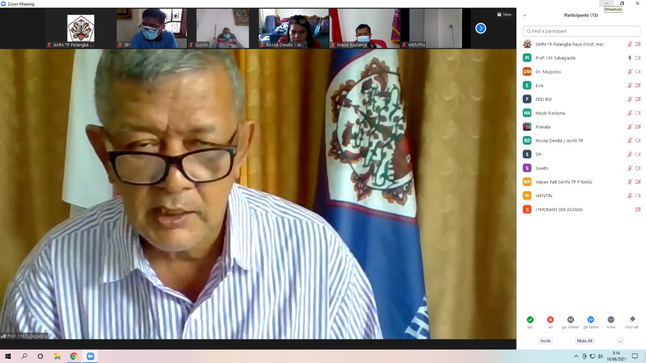 Rektor menghadiri kegiatan Sosialisasi Pelaksanaan SPI secara virtual